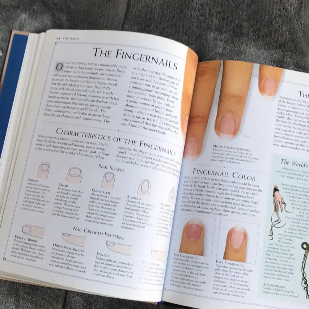 Palmistry — Lori Reid ✋✨